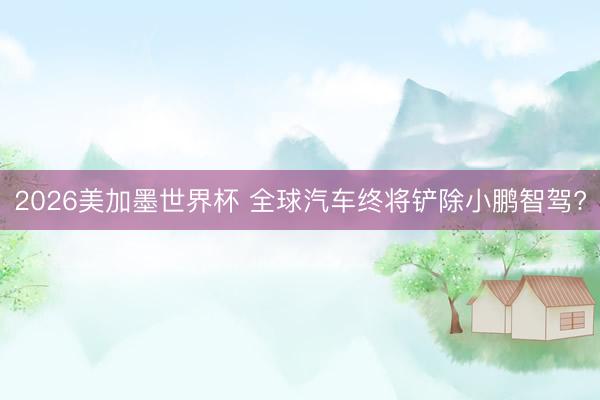 2026美加墨世界杯 全球汽车终将铲除小鹏智驾?