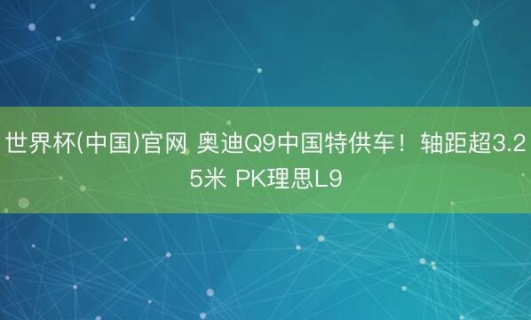 世界杯(中国)官网 奥迪Q9中国特供车！轴距超3.25米 PK理思L9