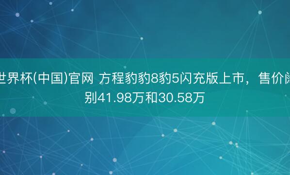 世界杯(中国)官网 方程豹豹8豹5闪充版上市，售价阔别41.98万和30.58万
