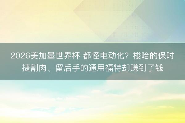 2026美加墨世界杯 都怪电动化？梭哈的保时捷割肉、留后手的通用福特却赚到了钱