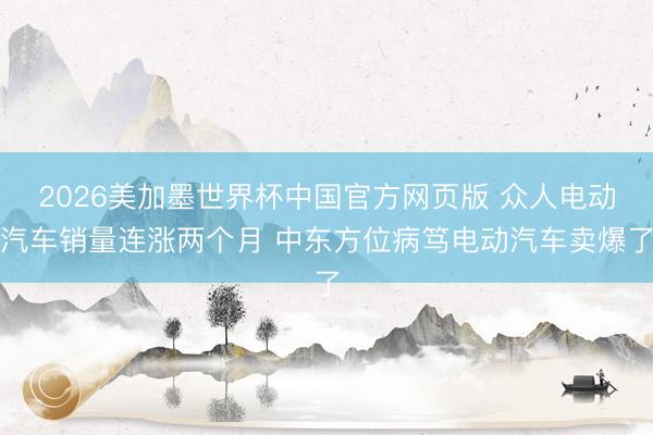 2026美加墨世界杯中国官方网页版 众人电动汽车销量连涨两个月 中东方位病笃电动汽车卖爆了