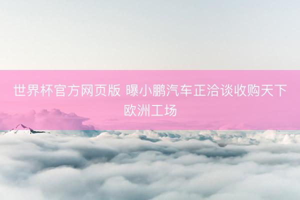 世界杯官方网页版 曝小鹏汽车正洽谈收购天下欧洲工场