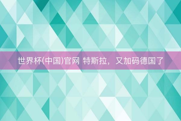 世界杯(中国)官网 特斯拉，又加码德国了