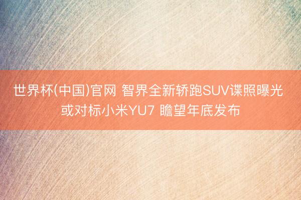 世界杯(中国)官网 智界全新轿跑SUV谍照曝光 或对标小米YU7 瞻望年底发布