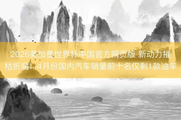 2026美加墨世界杯中国官方网页版 新动力摧枯折腐！4月份国内汽车销量前十名仅剩1款油车