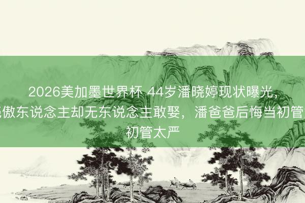 2026美加墨世界杯 44岁潘晓婷现状曝光，躯壳傲东说念主却无东说念主敢娶，潘爸爸后悔当初管太严