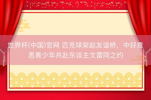 世界杯(中国)官网 匹克球架起友谊桥，中好意思青少年共赴东谈主文雷同之约
