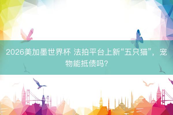 2026美加墨世界杯 法拍平台上新“五只猫”，宠物能抵债吗？
