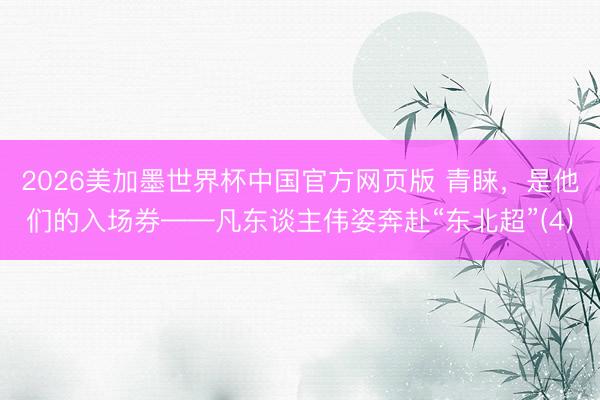2026美加墨世界杯中国官方网页版 青睐，是他们的入场券——凡东谈主伟姿奔赴“东北超”(4)