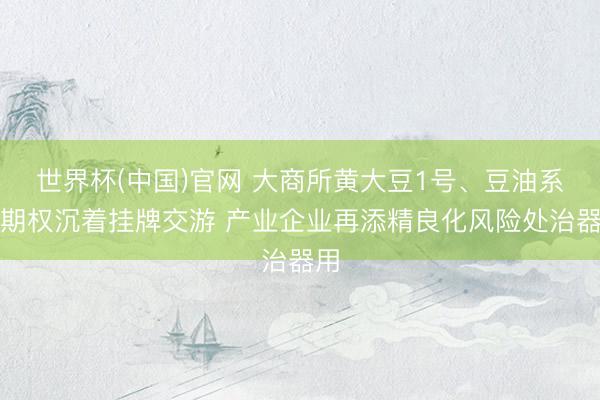 世界杯(中国)官网 大商所黄大豆1号、豆油系列期权沉着挂牌交游 产业企业再添精良化风险处治器用