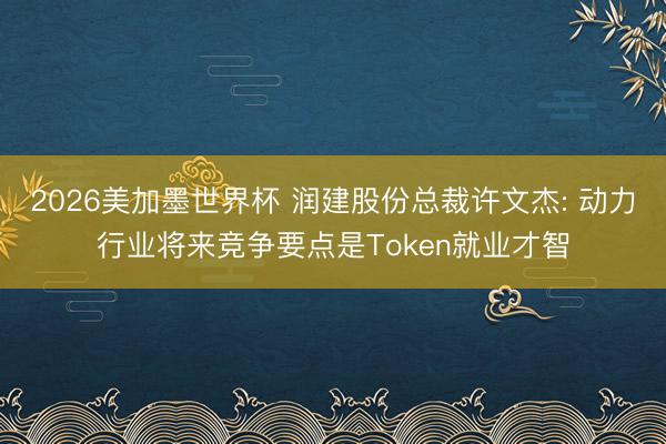 2026美加墨世界杯 润建股份总裁许文杰: 动力行业将来竞争要点是Token就业才智