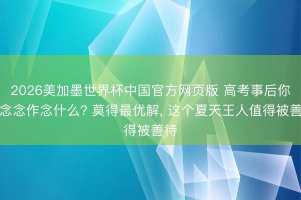 2026美加墨世界杯中国官方网页版 高考事后你最念念作念什么? 莫得最优解, 这个夏天王人值得被善待