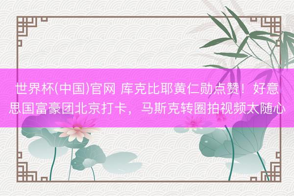 世界杯(中国)官网 库克比耶黄仁勋点赞！好意思国富豪团北京打卡，马斯克转圈拍视频太随心