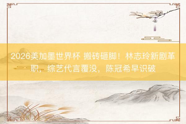 2026美加墨世界杯 搬砖砸脚！林志玲新剧革职，综艺代言覆没，陈冠希早识破