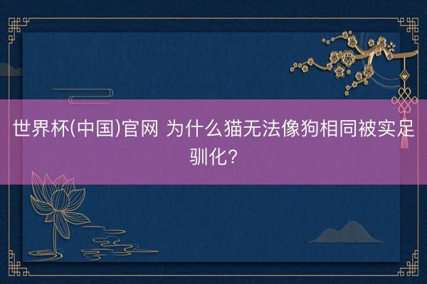 世界杯(中国)官网 为什么猫无法像狗相同被实足驯化?