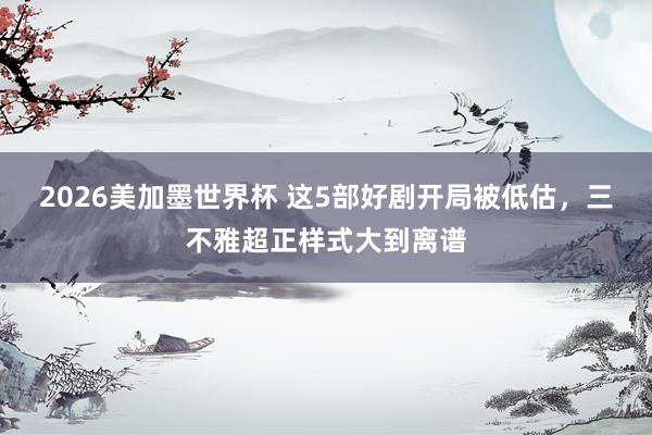 2026美加墨世界杯 这5部好剧开局被低估，三不雅超正样式大到离谱