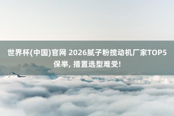 世界杯(中国)官网 2026腻子粉搅动机厂家TOP5保举， 措置选型难受!